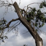 1408F 021 Am Weserbogen